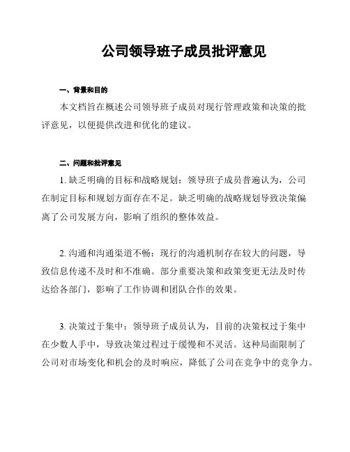 公司领导班子成员批评意见