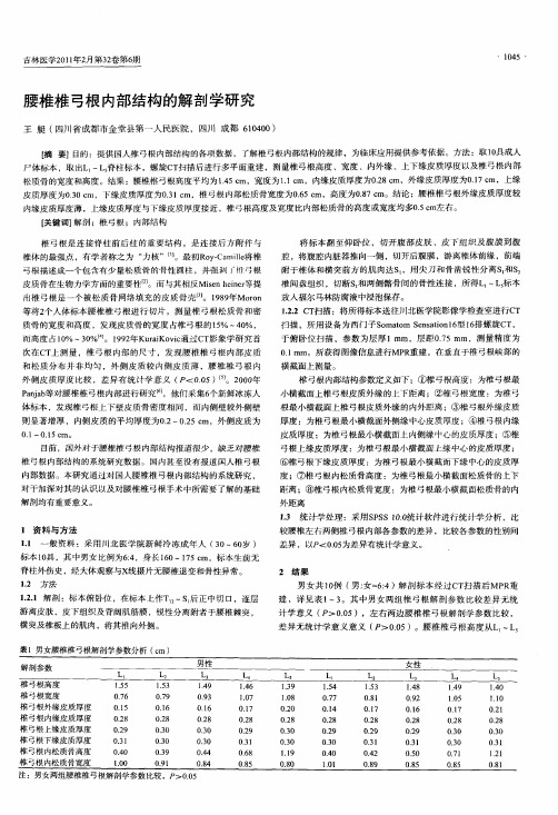 腰椎椎弓根内部结构的解剖学研究