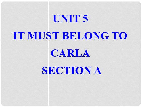 九年级英语全册 Unit 5《It must belong to Carla》全