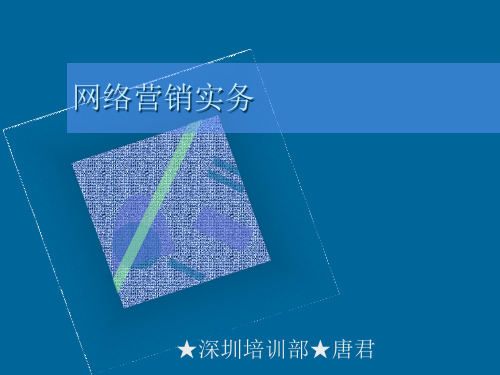 网络营销实务操作过程