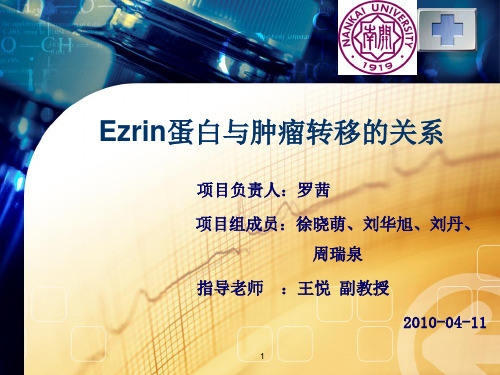 Ezrin蛋白与肿瘤转移PPT课件