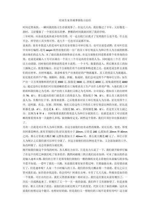 毕业生家具城工作实习总结-范例
