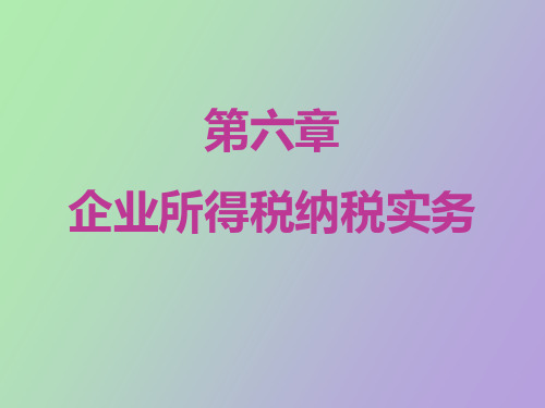 企业所得税纳税实务