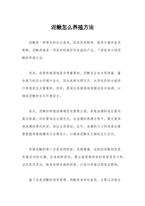 泥鳅怎么养殖方法