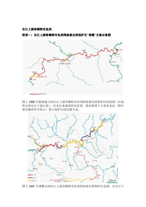 长江上游珍稀特有鱼类