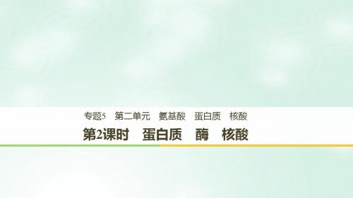 (浙江专用版)高中化学专题5生命活动的物质基础第二单