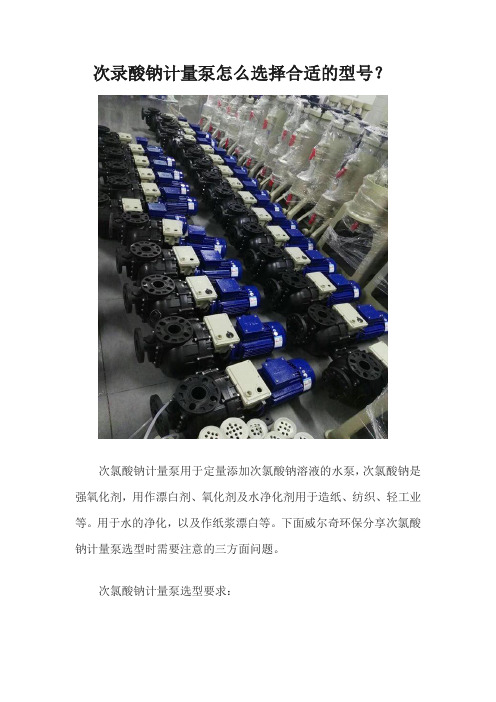 次录酸钠计量泵怎么选择合适的型号