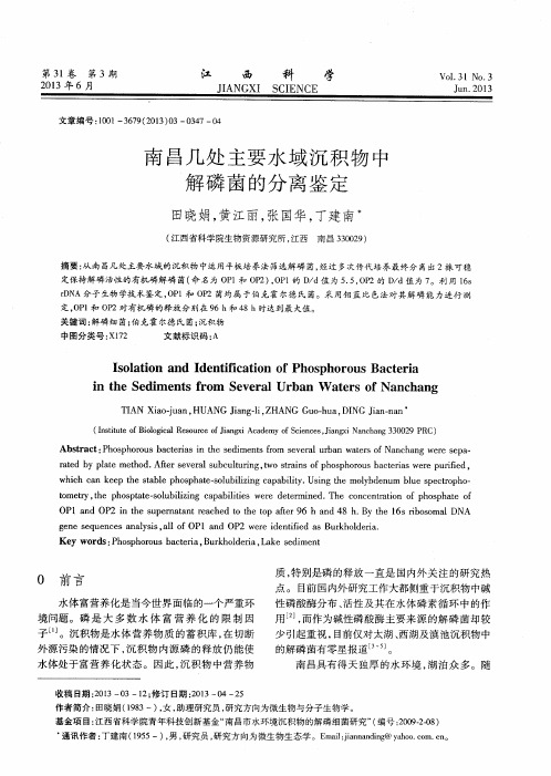 南昌几处主要水域沉积物中解磷菌的分离鉴定