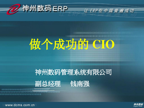 做个成功的 CIO