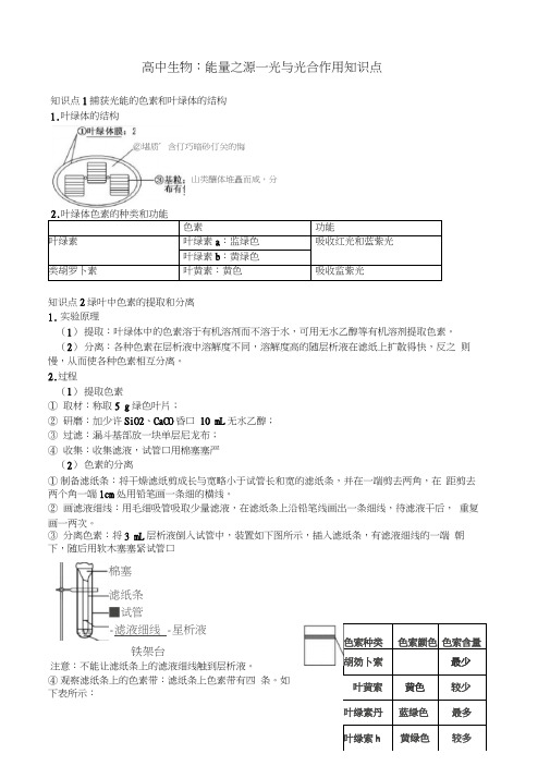 高中生物：能量之源—光与光合作用知识点