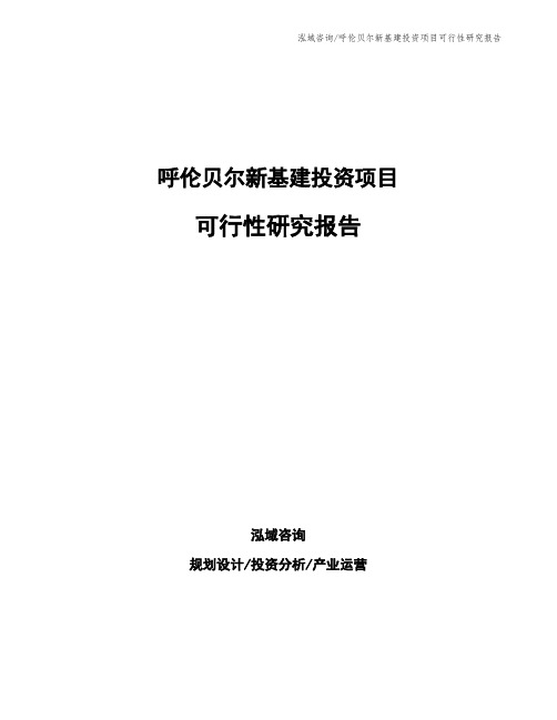 呼伦贝尔新基建投资项目可行性研究报告