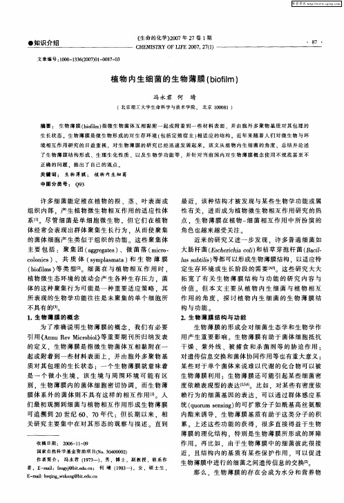 植物内生细菌的生物薄膜(biofilm)