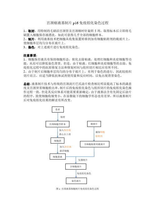 宫颈癌液基制片p16免疫组化染色过程