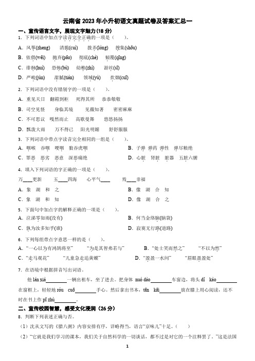 云南省2023年小升初语文真题试卷及答案汇总一