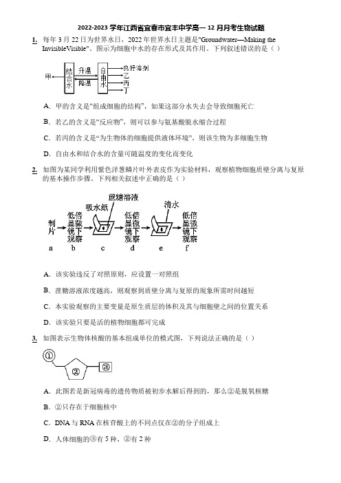 2022-2023学年江西省宜春市宜丰中学高一12月月考生物试题