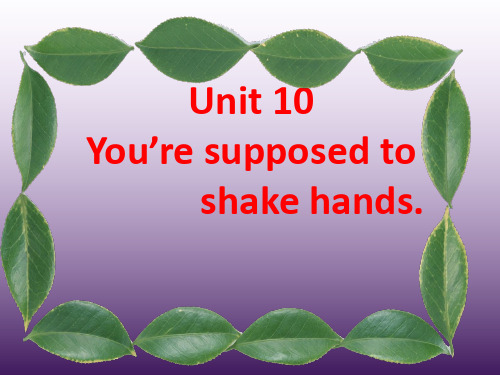 人教版九年级(新)Unit10《You’resupposedtoshakehands.》复习课件(共51张)分解