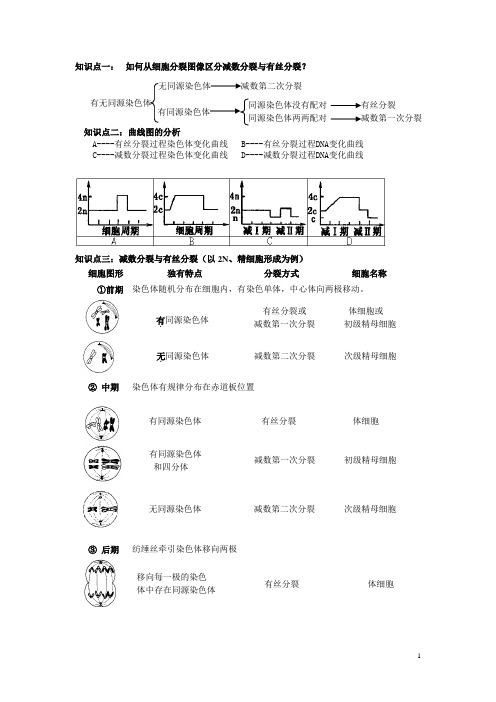 有丝分裂与减数分裂的综合(包括知识点总结 和习题训练 答案)