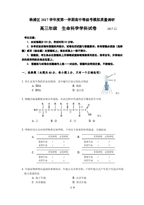 等级考模拟质量调研生命科学试题静安闸北新王牌高中补习班