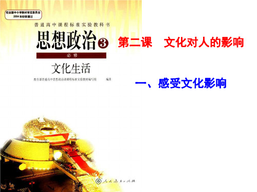 高二政治感受文化影响(1)