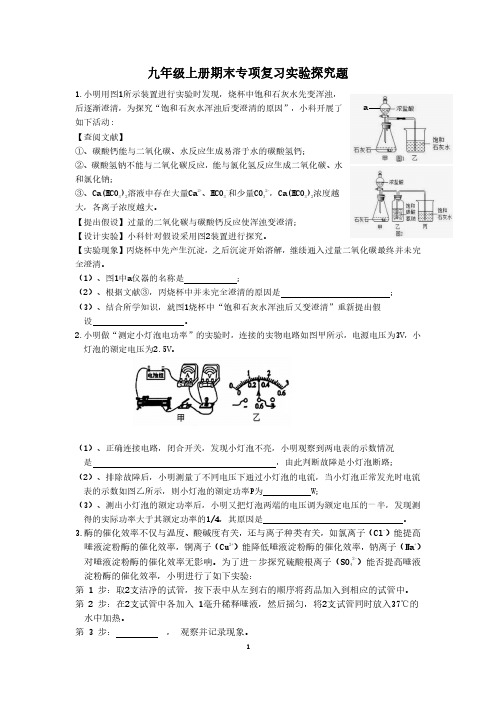 科学九年级上册期末专项复习精选实验探究题