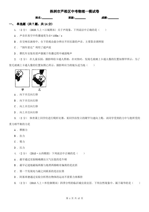 株洲市芦淞区中考物理一模试卷