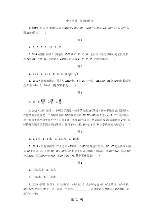 北师大版九年级数学上册中考特训 第四章 图形的相似