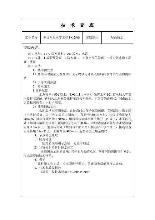 屋面TS-C防水技术交底