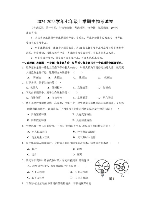 2024-2025学年七年级上学期生物考试卷