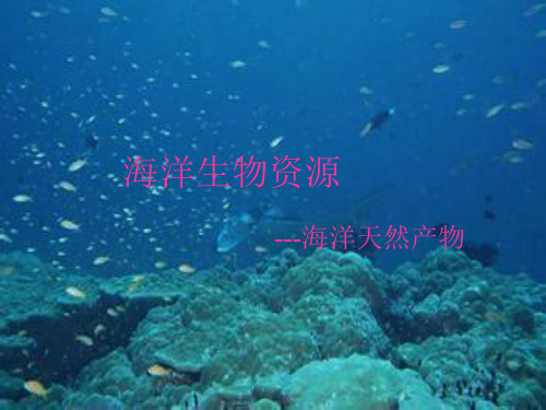 七年级科学下册第14章海洋与海洋开发14.1海洋与生物海洋生物资源教学课件牛津上海版