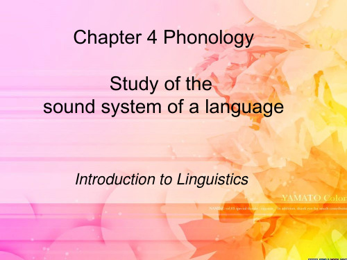 chapter 4 phonology