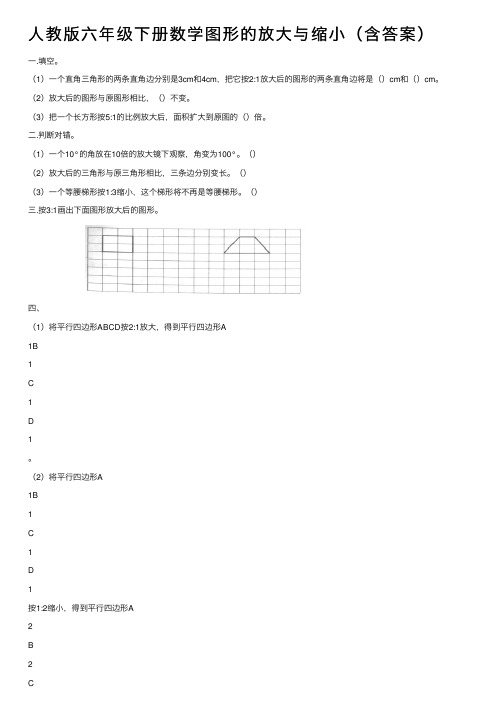 人教版六年级下册数学图形的放大与缩小（含答案）