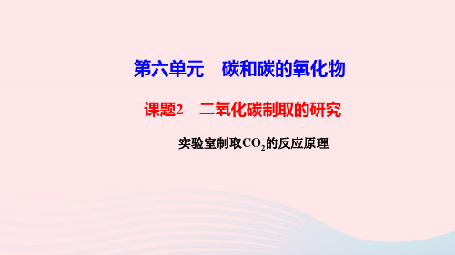 人教版九年级化学上册同步教学第6单元 碳和碳的氧化物 课题2 二氧化碳制取的研究