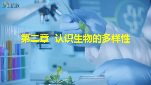 《认识生物的多样性》精品课件