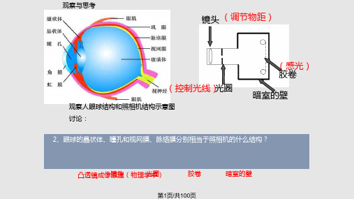 人体对外界环境感知复习PPT课件