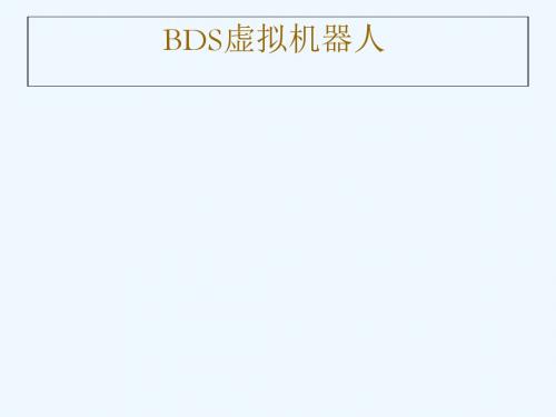 BDS_虚拟机器人