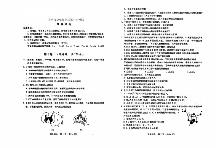陕西省宝鸡市2021届高三第一次模拟考试理综试题及答案解析完整版
