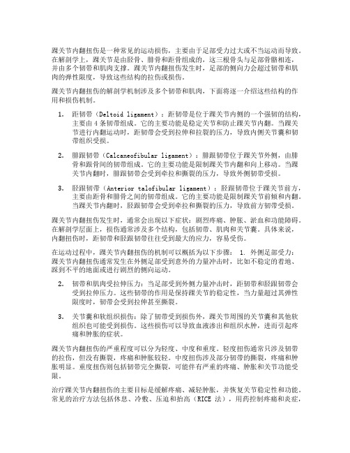 简述踝关节内翻扭伤的解刨学机制