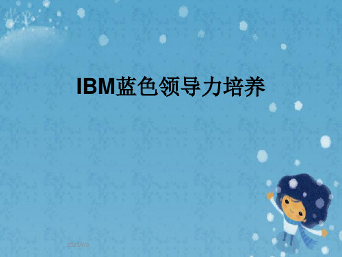 IBM蓝色领导力培养