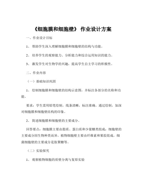 《细胞膜和细胞壁》 作业设计方案