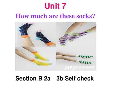 人教版英语七年级上册Unit7 How much are these socks