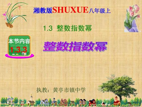 2016年秋季新版湘教版八年级数学上学期1.3.3、整数指数幂的运算法则课件7