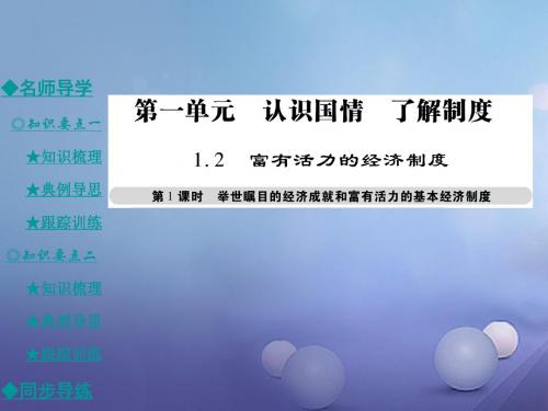 [精品课件]九年级政治全册 第一单元 认识国情 了解制度 1.2 富有活力的经济制度(第1课时)课件 粤教版