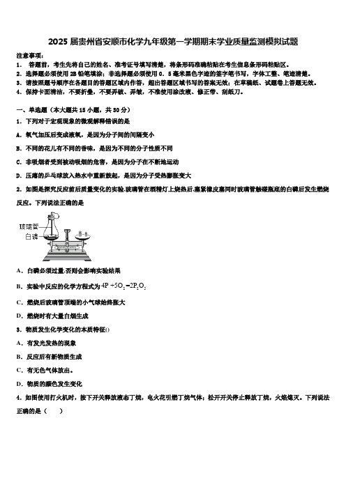 2025届贵州省安顺市化学九年级第一学期期末学业质量监测模拟试题含解析