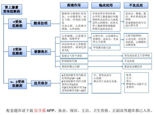 医科大教学药理病理学课件：第十一章 肾上腺素受体阻断药 本章小结