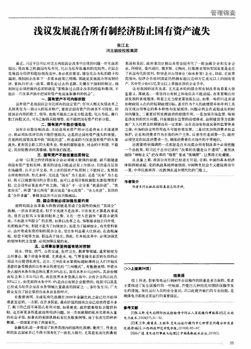 浅议发展混合所有制经济防止国有资产流失