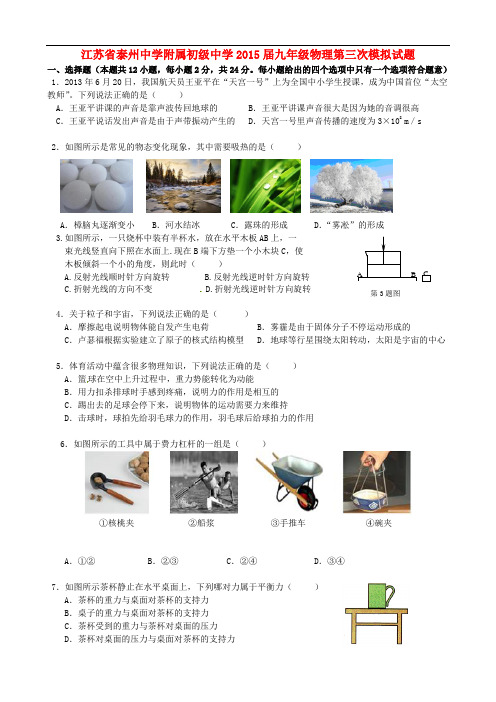 江苏省泰州中学附属初级中学九年级物理第三次模拟试题