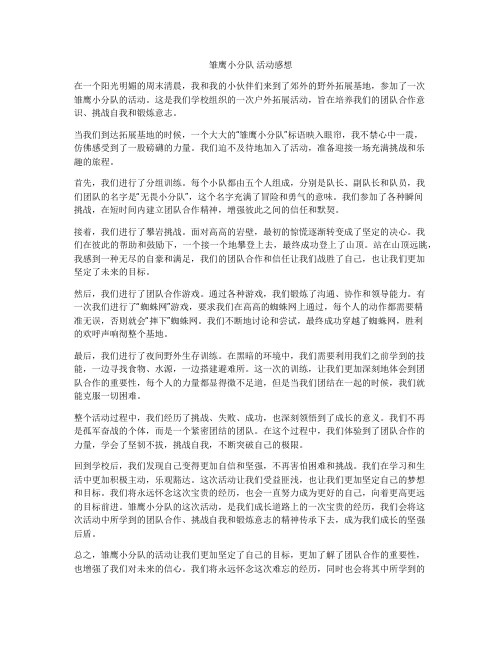 雏鹰小分队 活动感想