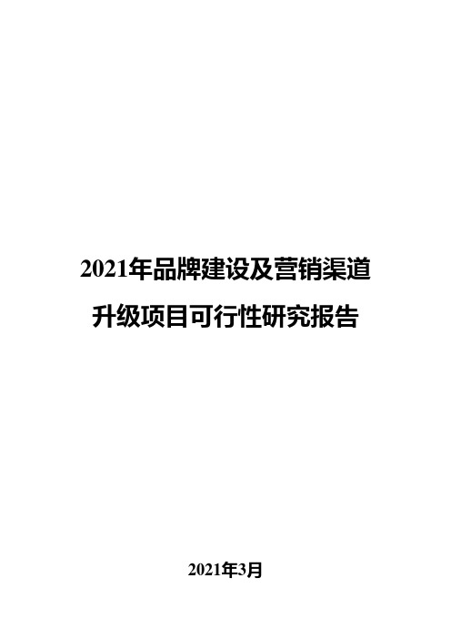 2021年品牌建设及营销渠道升级项目可行性研究报告