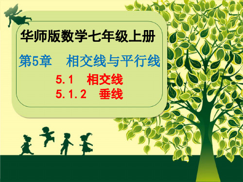 数学华东师大版七年级上册5.1.2垂线PPT课件