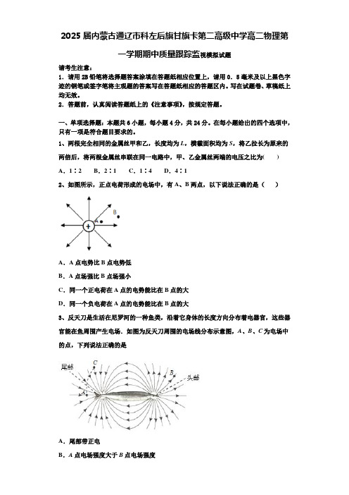 2025届内蒙古通辽市科左后旗甘旗卡第二高级中学高二物理第一学期期中质量跟踪监视模拟试题含解析